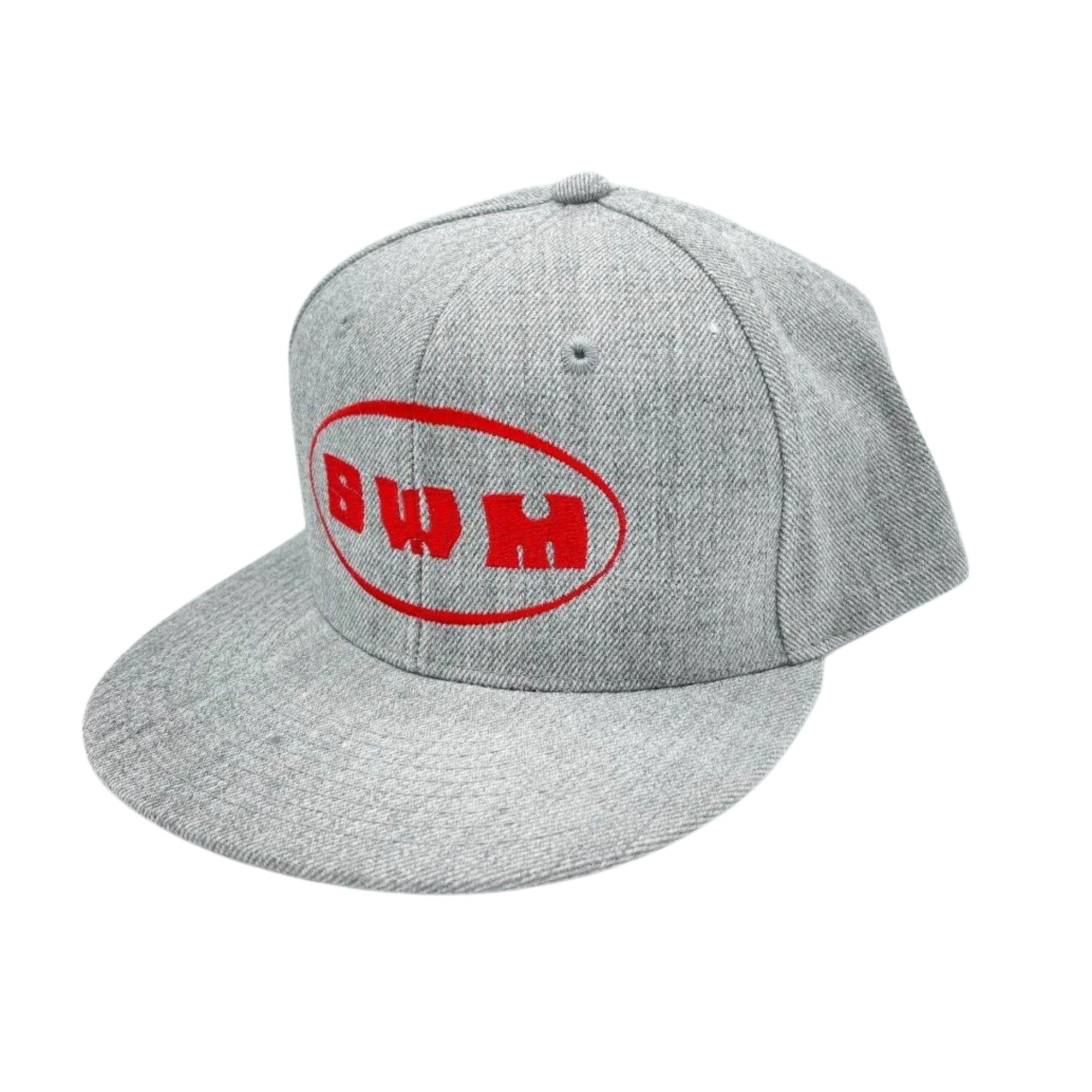 SWM Snapback Hat - Grey