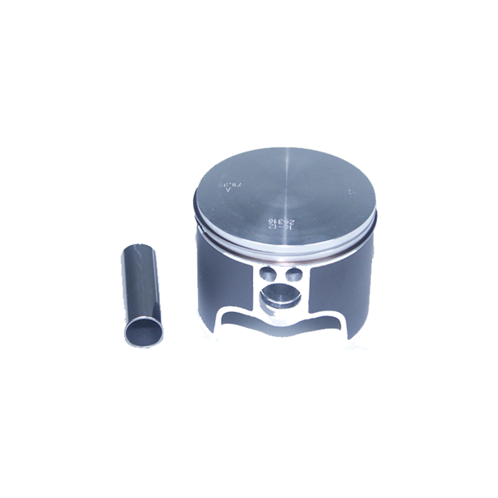 PISTON CPL 305 TR 2011 /78.95 A