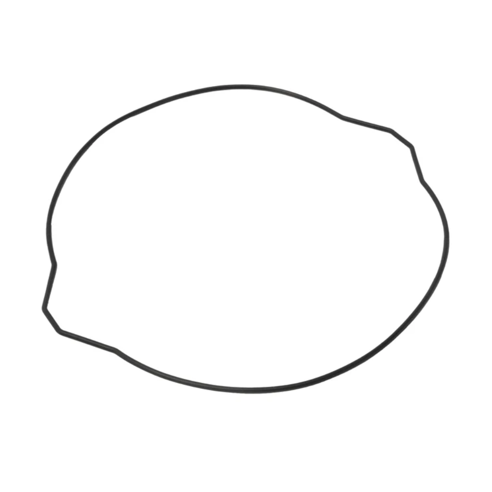 Clutch Cover O-Ring - 07969005