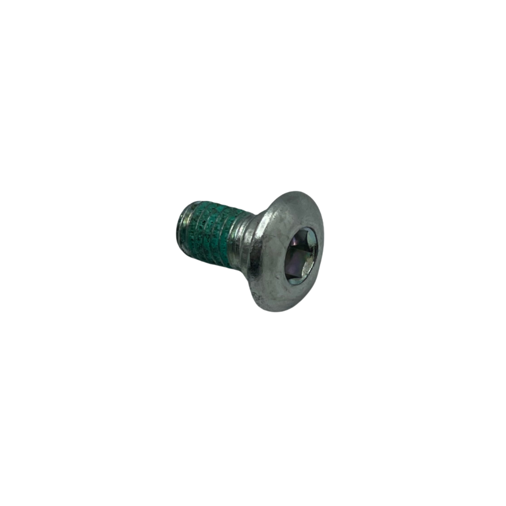 SCREW SPECIAL BRAKE DISC END 450