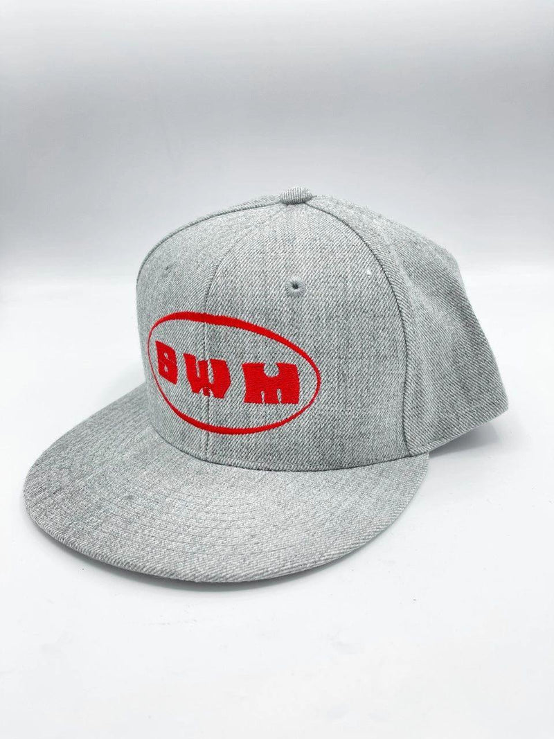 SWM Snapback Hat - Grey
